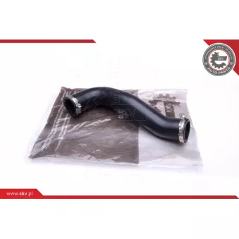 Gaine de suralimentation ESEN SKV 24SKV954