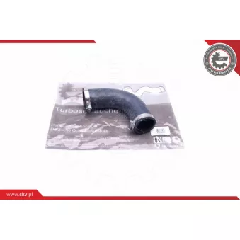Gaine de suralimentation ESEN SKV 24SKV964