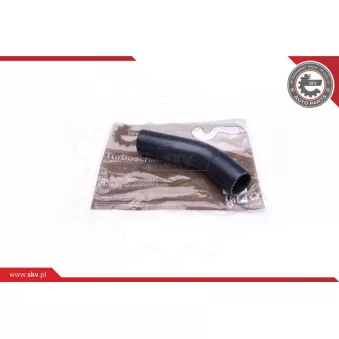 Gaine de suralimentation ESEN SKV 24SKV994