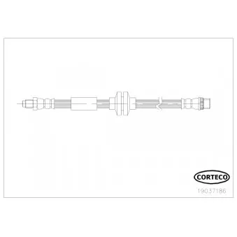 Flexible de frein CORTECO 19037186