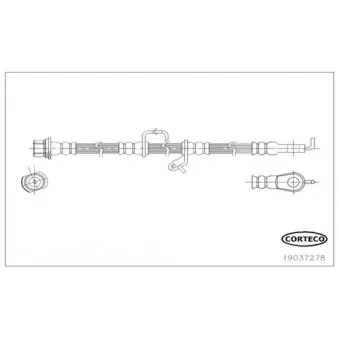 Flexible de frein avant gauche CORTECO 19037278