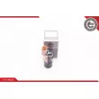 Capteur, aide au stationnement ESEN SKV 28SKV049 - Visuel 1