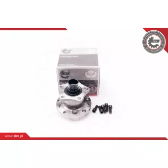 Roulement de roue arrière ESEN SKV 29SKV009