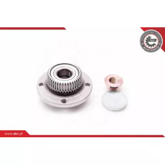 Roulement de roue arrière ESEN SKV 29SKV012