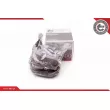 Roulement de roue arrière ESEN SKV 29SKV053 - Visuel 1