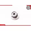 Roulement de roue arrière ESEN SKV 29SKV102 - Visuel 3