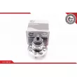 Roulement de roue arrière ESEN SKV 29SKV120 - Visuel 1