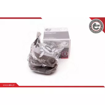 Roulement de roue avant ESEN SKV 29SKV121