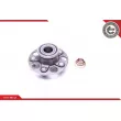 Roulement de roue arrière ESEN SKV 29SKV200 - Visuel 2