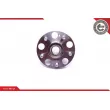 Roulement de roue arrière ESEN SKV 29SKV200 - Visuel 3