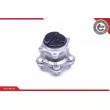 Roulement de roue arrière ESEN SKV 29SKV260 - Visuel 2