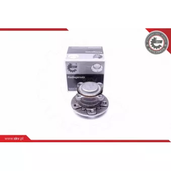 Roulement de roue arrière ESEN SKV 29SKV303