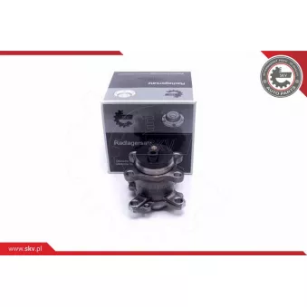 Roulement de roue arrière ESEN SKV 29SKV312