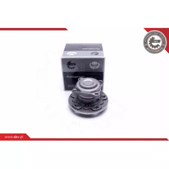 Roulement de roue arrière ESEN SKV 29SKV317