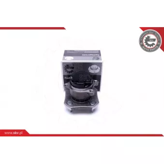 Roulement de roue arrière ESEN SKV 29SKV384