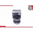 Roulement de roue arrière ESEN SKV 29SKV406 - Visuel 1