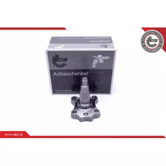 Roulement de roue arrière ESEN SKV 29SKV995