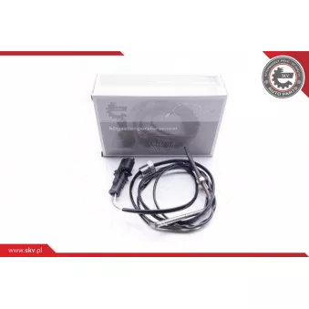 Capteur, température des gaz ESEN SKV 30SKV017