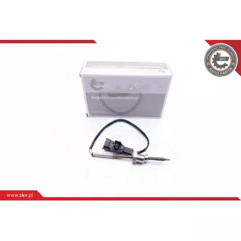 Capteur, température des gaz ESEN SKV 30SKV018