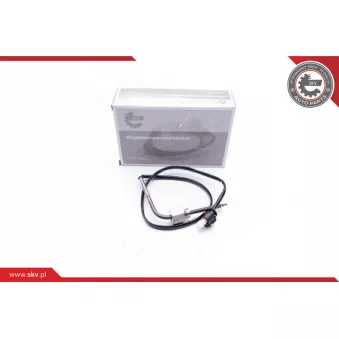 Capteur, température des gaz ESEN SKV 30SKV019