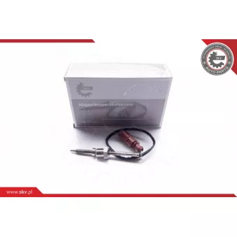 Capteur, température des gaz ESEN SKV 30SKV027