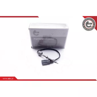 Capteur, température des gaz ESEN SKV 30SKV028