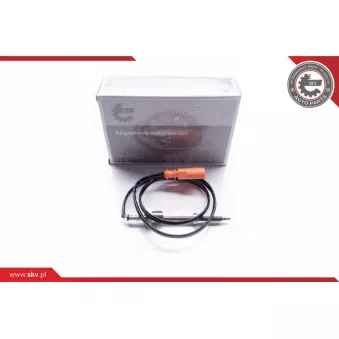 Capteur, température des gaz ESEN SKV 30SKV030