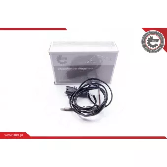 Capteur, température des gaz ESEN SKV 30SKV032