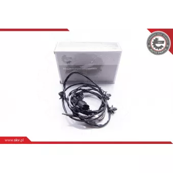 Capteur, température des gaz ESEN SKV 30SKV033