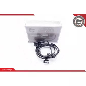 Capteur, température des gaz ESEN SKV 30SKV034