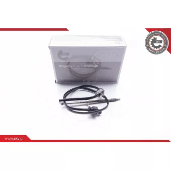 Capteur, température des gaz ESEN SKV 30SKV035