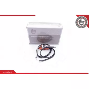 Capteur, température des gaz ESEN SKV 30SKV038