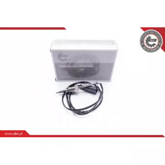 Capteur, température des gaz ESEN SKV 30SKV039