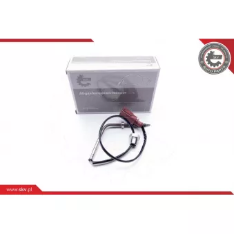 Capteur, température des gaz ESEN SKV 30SKV040