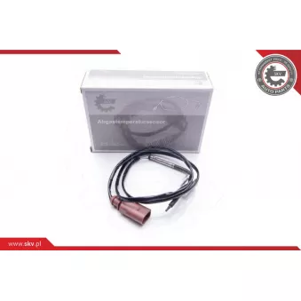 Capteur, température des gaz ESEN SKV 30SKV042