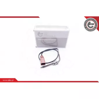 Capteur, température des gaz ESEN SKV 30SKV045