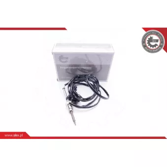 Capteur, température des gaz ESEN SKV 30SKV050