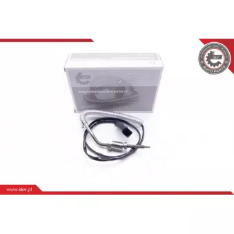 Capteur, température des gaz ESEN SKV 30SKV051