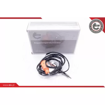 Capteur, température des gaz ESEN SKV 30SKV052