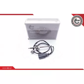 Capteur, température des gaz ESEN SKV 30SKV053