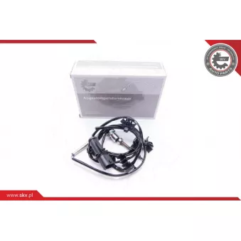Capteur, température des gaz ESEN SKV 30SKV054