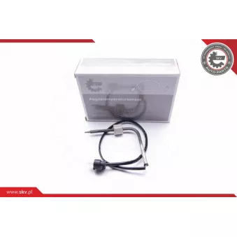Capteur, température des gaz ESEN SKV 30SKV056