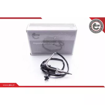 Capteur, température des gaz ESEN SKV 30SKV058