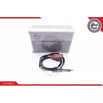 Capteur, température des gaz ESEN SKV 30SKV060