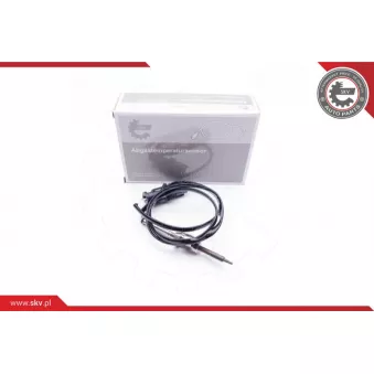 Capteur, température des gaz ESEN SKV 30SKV064