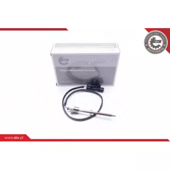 Capteur, température des gaz ESEN SKV 30SKV069