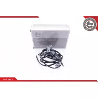 Capteur, température des gaz ESEN SKV 30SKV070