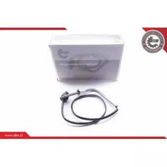 Capteur, température des gaz ESEN SKV 30SKV072