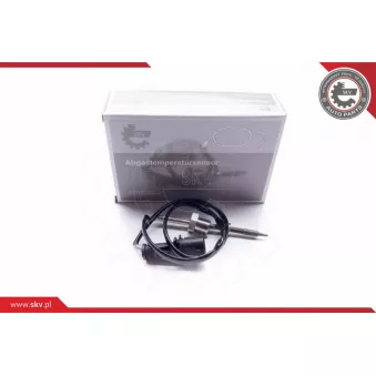 Capteur, température des gaz ESEN SKV 30SKV073