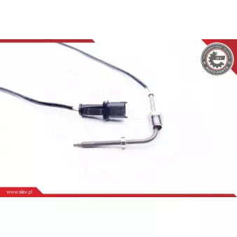 Capteur, température des gaz ESEN SKV 30SKV074